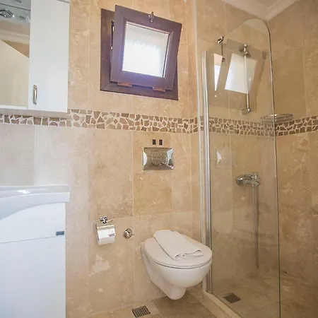 Villa Eco Seleny